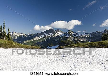 Paradise Park; Tatoosh Mountains, Mt Rainier National Park, Washington State, Usa View Large Photo Image Stock Photography - Paradise Park; Tatoosh Mountains, Mt Rainier National Park, Washington State, Usa. Fotosearch