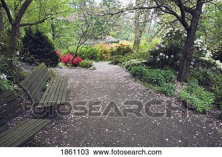 Park Bench And Pathway View Large Photo Image Stock Image - Park Bench And Pathway. Fotosearch