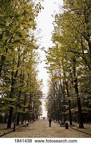 Stock Photo - Park In Venice; Italy. Fotosearch