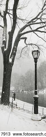 Park In Winter View Large Photo Image Stock Image - Park In Winter. Fotosearch