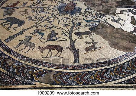 Stock Photo - Part Of Mosaics At Roman Ruins, Volubilis, Morocco. Fotosearch