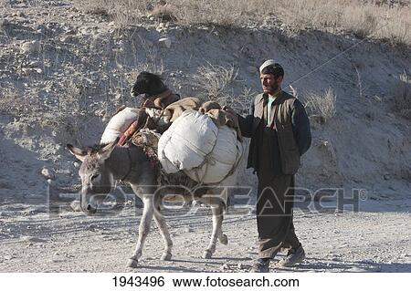 Stock Photograph - Pashtun Nomad And His Donkey On The Kabul To Sarobi Road, Kabul Province, Afghanistan. Fotosearch