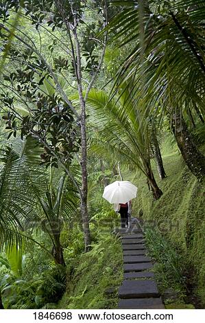 Stock Photo - Passer-By With White Umbrella On Rural Pathway. Fotosearch