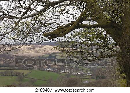 Stock Photo - Pastoral Scene In Exmoor, United Kingdom. Fotosearch