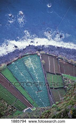 Patchwork Fields By Coastline, Aerial View View Large Photo Image Picture - Patchwork Fields By Coastline, Aerial View. Fotosearch