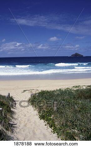 Path And Blinky Beach View Large Photo Image Stock Photo - Path And Blinky Beach. Fotosearch
