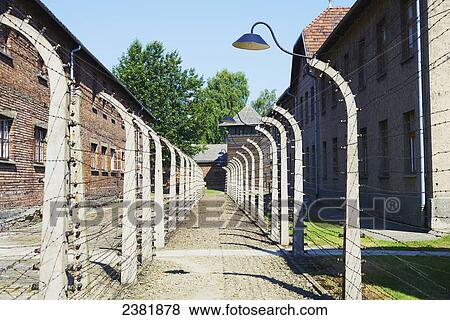 Path between prisoner blocks in Auschwitz concentration camp; Osweciem, Poland View Large Photo Image Stock Photo - Path between prisoner blocks in Auschwitz concentration camp; Osweciem, Poland. Fotosearch