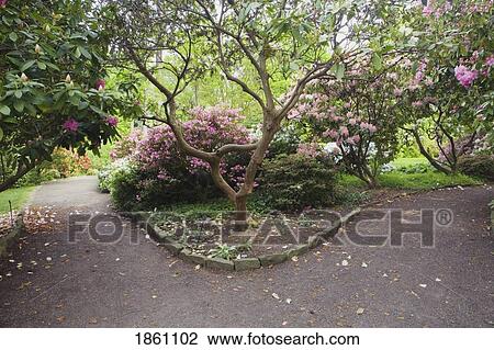 Stock Image - Path Division Through Park. Fotosearch