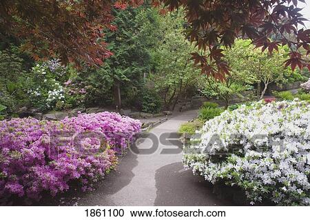 Stock Image - Path Through Flowering Gardens. Fotosearch