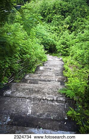 Picture - Path Through Ravine To Beach And Famous Surf Spot, Uluwatu, Bali, Indonesia. Fotosearch