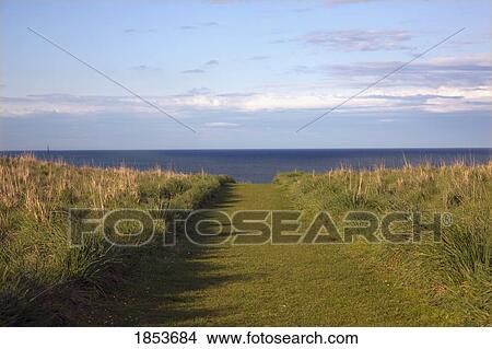 Picture - Path To Seashore, South Shields, Tyne And Wear, England. Fotosearch