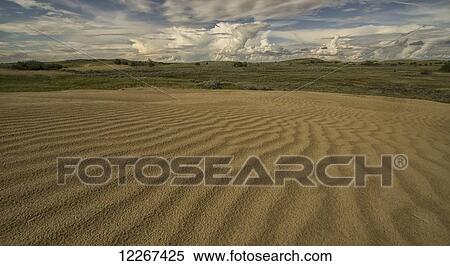 Patterned sand, the Great Sandhills; Saskatchewan, Canada View Large Photo Image Stock Photography - Patterned sand, the Great Sandhills; Saskatchewan, Canada. Fotosearch