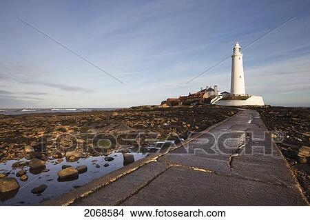 Paved Path To The Lighthouse On St. Mary's Island; Northumberland England View Large Photo Image Picture - Paved Path To The Lighthouse On St. Mary's Island; Northumberland England. Fotosearch