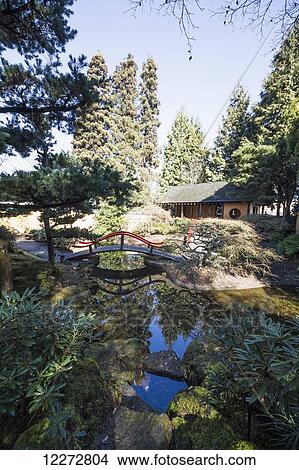 Picture - Pavilion and bridge over the pond in the Oriental Garden of Park and Tilford Gardens, North Vancouver, British Columbia, Canada. Fotosearch