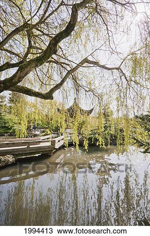 Pavilion By The Pond In Dr. Sun Yat Sen Park In Chinatown, Vancouver, British Columbia, Canada View Large Photo Image Stock Image - Pavilion By The Pond In Dr. Sun Yat Sen Park In Chinatown, Vancouver, British Columbia, Canada. Fotosearch