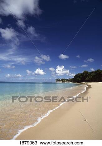 Paynes Bay Beach View Large Photo Image Stock Image - Paynes Bay Beach. Fotosearch