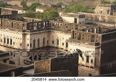 Picture - Peacock Atop The Ruins Next To Castle Mandawa, Rajasthan, India. Fotosearch