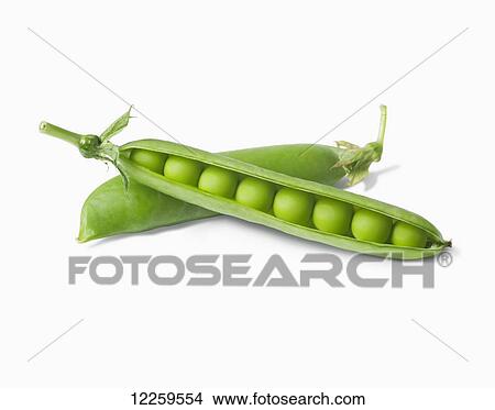 Picture - Peas in a pod on a white background. Fotosearch