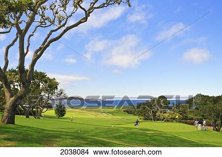 Picture - Pebble Beach Golf Course; Carmel California United States Of America. Fotosearch