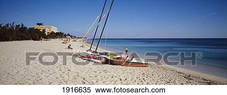 Pedalos On Beach View Large Photo Image Stock Photography - Pedalos On Beach. Fotosearch