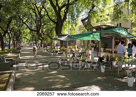 Stock Photo - Pedestrian Street With Flower Stall; Mendoza Argentina. Fotosearch