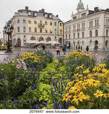 Pedestrians And Brightly Coloured Flowers In An Urban Area; Uppsala Sweden View Large Photo Image Stock Photo - Pedestrians And Brightly Coloured Flowers In An Urban Area; Uppsala Sweden. Fotosearch