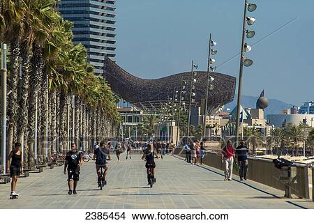 Picture - Pedestrians and cyclists on the promenade at Barceloneta beach; Barcelona, Catalonia, Spain. Fotosearch
