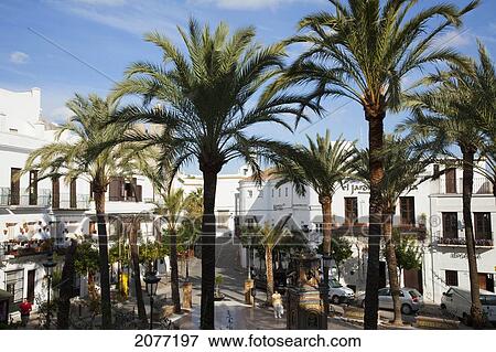 Pedestrians Walking Amongst The Buildings And Palm Trees; Vejer De La Frontera Andalusia Spain View Large Photo Image Stock Photo - Pedestrians Walking Amongst The Buildings And Palm Trees; Vejer De La Frontera Andalusia Spain. Fotosearch