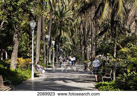 Pedestrians Walking Down A Path Lined With Palm Trees; Malaga, Andalusia, Spain View Large Photo Image Stock Image - Pedestrians Walking Down A Path Lined With Palm Trees; Malaga, Andalusia, Spain. Fotosearch