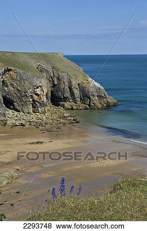 Stock Photo - Pembrokeshire Coast National Park. Stackpole Estate. Pembrokeshire. Wales. Fotosearch