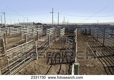Stock Image - Pens Used For Herding Cattle For Auction; Alberta, Canada. Fotosearch