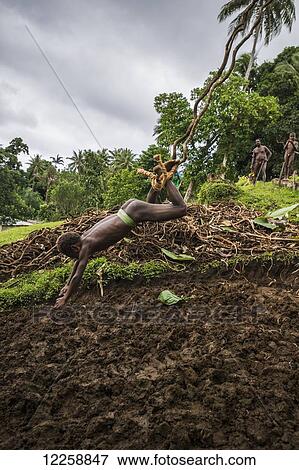 Stock Photo - Pentecost Land diver stops just short of hitting the ground; Pentecost Island, Vanuatu. Fotosearch