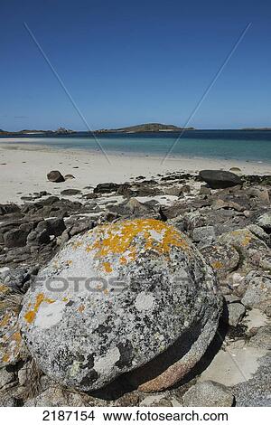 Picture - Pentle Bay, One Of Britain's Top 20 Beaches. Tresco. Isles Of Scilly, Cornwall, United Kingdom, Europe. Fotosearch
