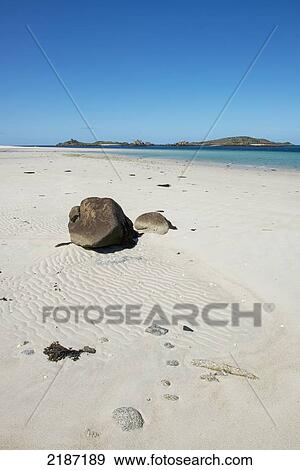 Stock Photo - Pentle Bay, One Of Britain's Top 20 Beaches. Tresco. Isles Of Scilly, Cornwall, United Kingdom, Europe. Fotosearch