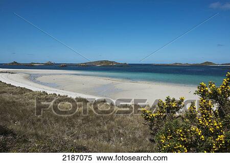 Stock Photography - Pentle Bay, One Of Britain's Top 20 Beaches. Tresco. Isles Of Scilly, Cornwall, United Kingdom, Europe. Fotosearch