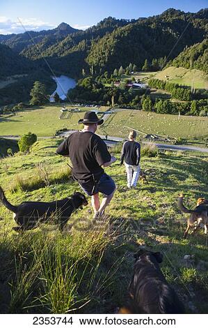 Picture - People And Sheep Dogs Admiring The Views Overlooking Blue Duck Valley At Blue Duck Lodge, In The Whanganui National Park; Whakahoro, New Zealand. Fotosearch