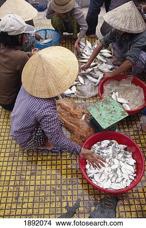 People At Hoi An Fish Market, Elevated View View Large Photo Image Picture - People At Hoi An Fish Market, Elevated View. Fotosearch