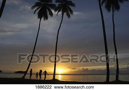 Stock Image - People Beneath Palm Trees At Dusk On Beach On The West Coast. Fotosearch