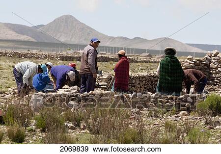 People Building A Pirca (Stone Fence) In Copacabana, Sama National Park, Tarija, Bolivia View Large Photo Image Stock Photo - People Building A Pirca (Stone Fence) In Copacabana, Sama National Park, Tarija, Bolivia. Fotosearch