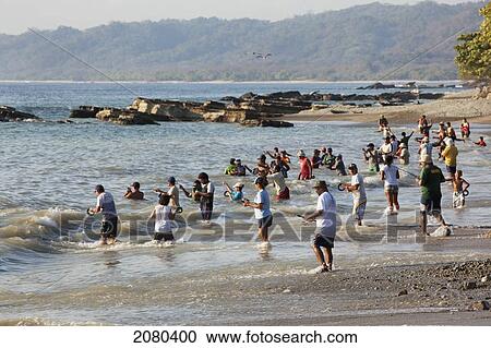 People Fishing Off The Beach At Mal Pais (Malpais) On The Nicoya Peninsula; Puntarenas Province, Costa Rica View Large Photo Image Stock Image - People Fishing Off The Beach At Mal Pais (Malpais) On The Nicoya Peninsula; Puntarenas Province, Costa Rica. Fotosearch