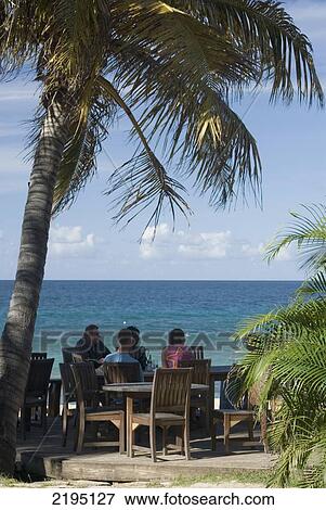 People Having A Drink Under A Palm Tree At The Aquarium Restaurant, Grenada. View Large Photo Image Stock Photo - People Having A Drink Under A Palm Tree At The Aquarium Restaurant, Grenada.. Fotosearch