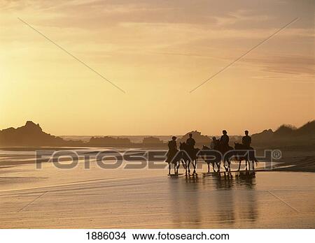 Picture - People Horseback Riding At Dusk On The Beach Beside Buffalo Bay. Fotosearch