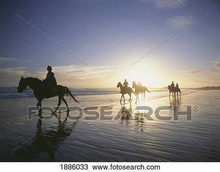 Stock Image - People Horseback Riding At Dusk On The Beach Beside Buffalo Bay. Fotosearch