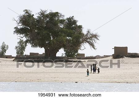 People in a village on the Niger River between Lake Debo and Sebi, Mali View Large Photo Image Stock Image - People in a village on the Niger River between Lake Debo and Sebi, Mali. Fotosearch