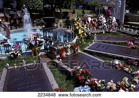 People Looking At Elvis Graves, Graceland, Memphis, Tennessee, Usa View Large Photo Image Stock Photo - People Looking At Elvis Graves, Graceland, Memphis, Tennessee, Usa. Fotosearch