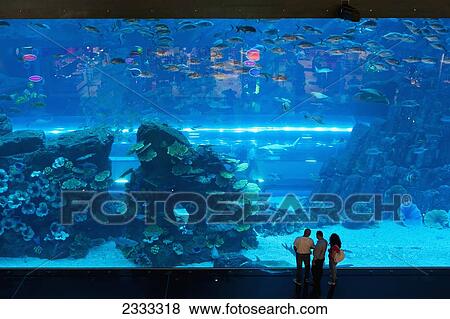 People Looking In Large Window Dubai Mall Aquarium Dubai United