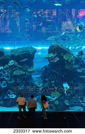 Stock Photo - People Looking In Large Window, Dubai Mall Aquarium; Dubai, United Arab Emirates. Fotosearch