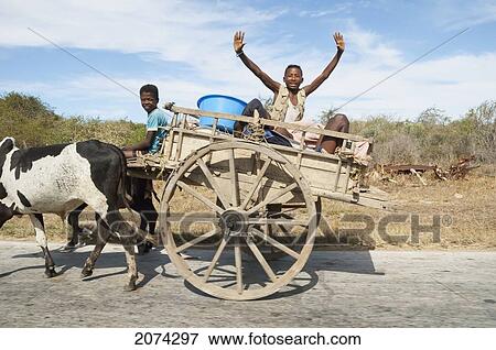 People On A Bullock Cart Near Antsokay, Toliara Province, Madagascar View Large Photo Image Stock Photo - People On A Bullock Cart Near Antsokay, Toliara Province, Madagascar. Fotosearch
