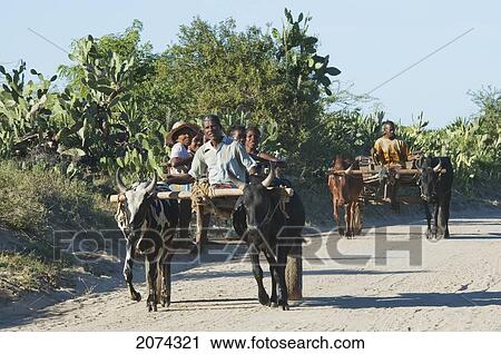 Stock Image - People On A Bullock Cart Near Mangily, Toliara Province, Madagascar. Fotosearch