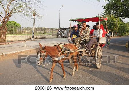 Stock Photograph - People On A Horse Cart, Rajgir, Bihar, India. Fotosearch